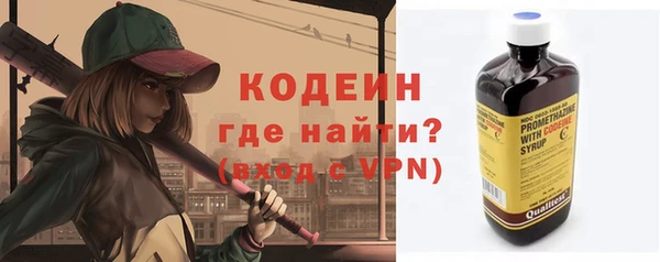 хмурый Инта