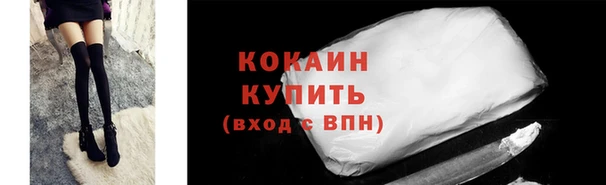 хмурый Инта