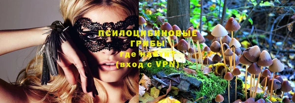 PSILOCYBIN Иннополис