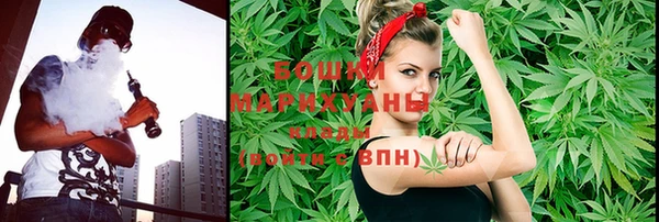 хмурый Инта
