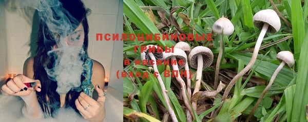 эйфоретик Инсар