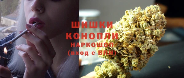 хмурый Инта