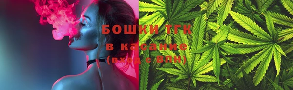PSILOCYBIN Иннополис