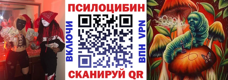Купить где  Высоцк  Псилоцибиновые грибы Psilocybine cubensis 