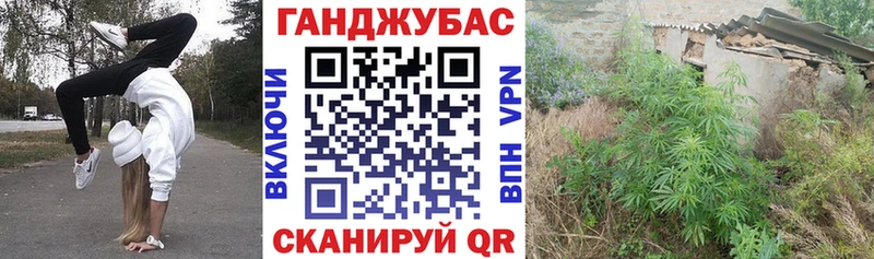 Марихуана Bruce Banner  Купить где  Высоцк 
